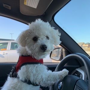 Meet your Posher, Joanne